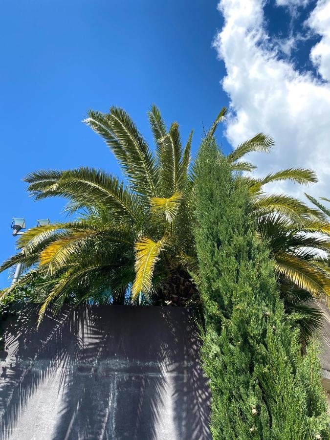 Calma Bungalows Portorož Eksteriør billede